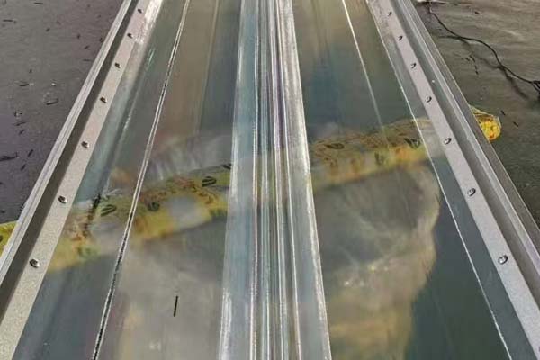 金屬鎖邊采光板